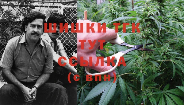 ECSTASY Арсеньев