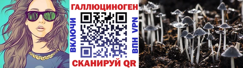 Галлюциногенные грибы MAGIC MUSHROOMS  купить наркотики цена  Рубцовск 